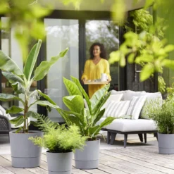 Elho Greensense Aqua Care - Rond - Ø 43 Cm 2 Elho Greensense Aqua Care - Rond - Ø 43 Cm -Tuin & Buiten 10174578