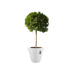 Elho Pure Round Bloempot Ø 50 Cm - Wit -Tuin & Buiten 11454677