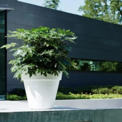 Elho Pure Round Bloempot Ø 50 Cm - Wit -Tuin & Buiten 11454684