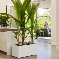 Elho Vivo Next Plantenbak B 80 Cm - Wit -Tuin & Buiten 11597919