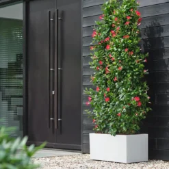 Elho Vivo Next Plantenbak B 80 Cm - Wit -Tuin & Buiten 11597921