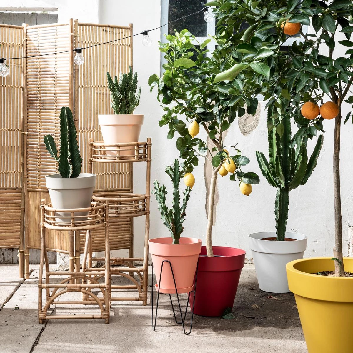 Elho Loft Urban Round Bloempot 40 Cm Met Wielen Elho Loft Urban Round Bloempot 40 Cm Met Wielen -Tuin & Buiten 9480158