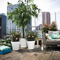 Elho Loft Urban Round Bloempot 40 Cm Met Wielen 3 Elho Loft Urban Round Bloempot 40 Cm Met Wielen -Tuin & Buiten 9480160