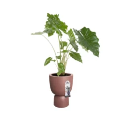 Elho Pure Coupe Bloempot Ø 35 Cm - Rosy Brown -Tuin & Buiten 9494821