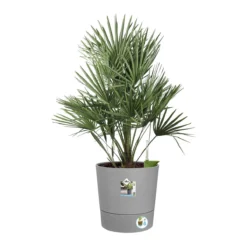 Elho Greensense Aqua Care - Rond - Ø 43 Cm 3 Elho Greensense Aqua Care - Rond - Ø 43 Cm -Tuin & Buiten 9759892