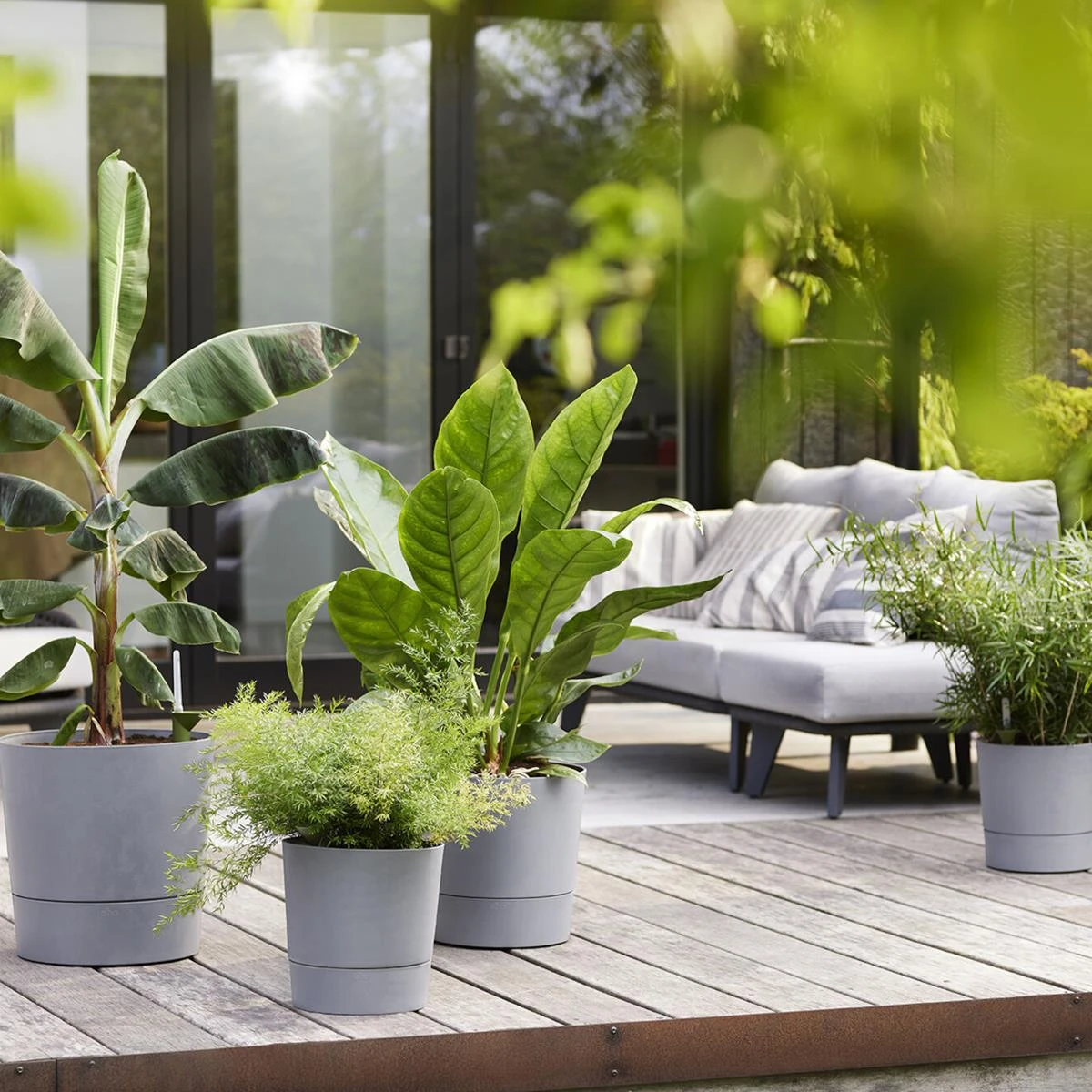 Elho Greensense Aqua Care - Rond - Ø 43 Cm Elho Greensense Aqua Care - Rond - Ø 43 Cm -Tuin & Buiten 9759895