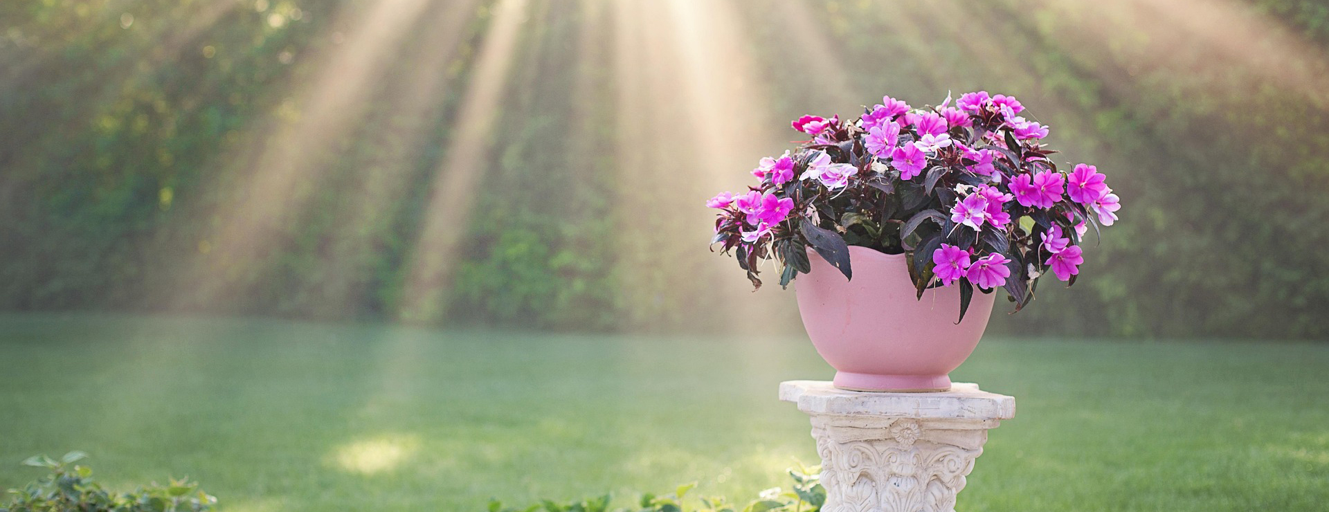 Tuin & Buiten -Tuin & Buiten sunlight 6312751 1920